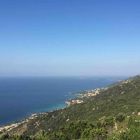 Ajaccio Magnifique T2 Neuf 40M2 Avec Balcon Au Trottel 4 Couchages Wifi Clim Parking Plage A Pieds 100M Eksteriør billede