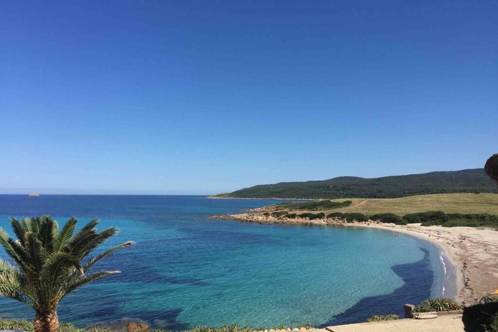 Ajaccio Magnifique T2 Neuf 40M2 Avec Balcon Au Trottel 4 Couchages Wifi Clim Parking Plage A Pieds 100M Eksteriør billede