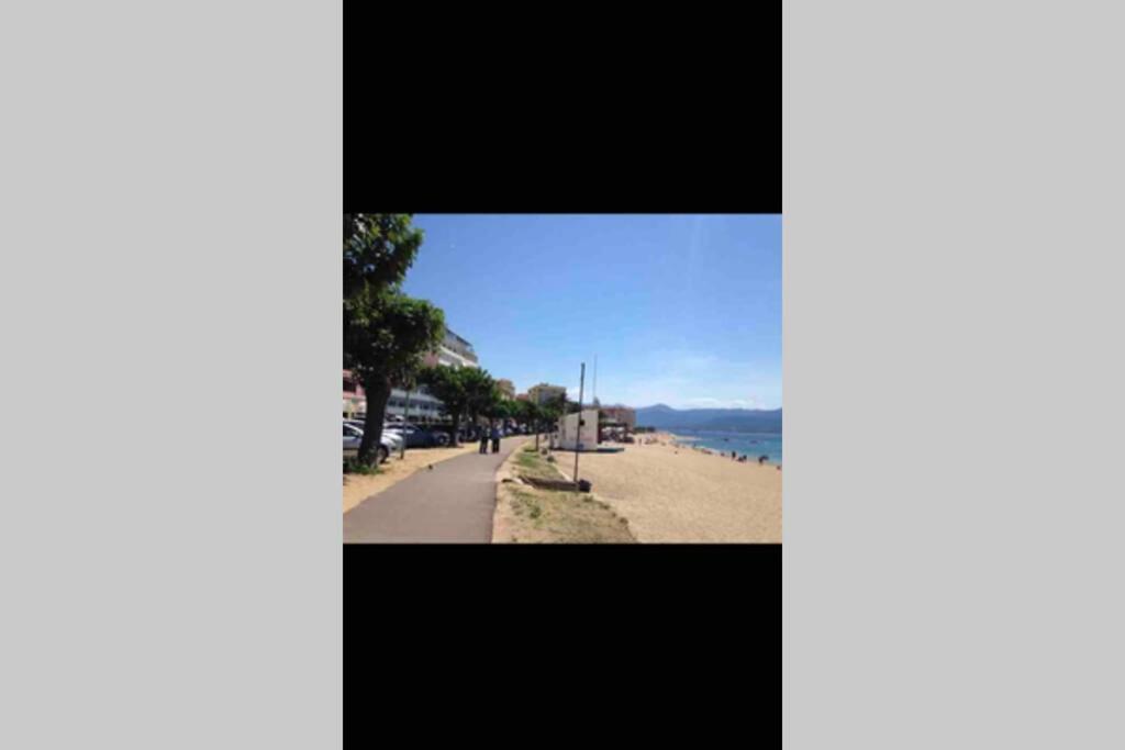 Ajaccio Magnifique T2 Neuf 40M2 Avec Balcon Au Trottel 4 Couchages Wifi Clim Parking Plage A Pieds 100M Eksteriør billede