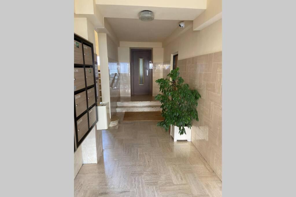 Ajaccio Magnifique T2 Neuf 40M2 Avec Balcon Au Trottel 4 Couchages Wifi Clim Parking Plage A Pieds 100M Eksteriør billede