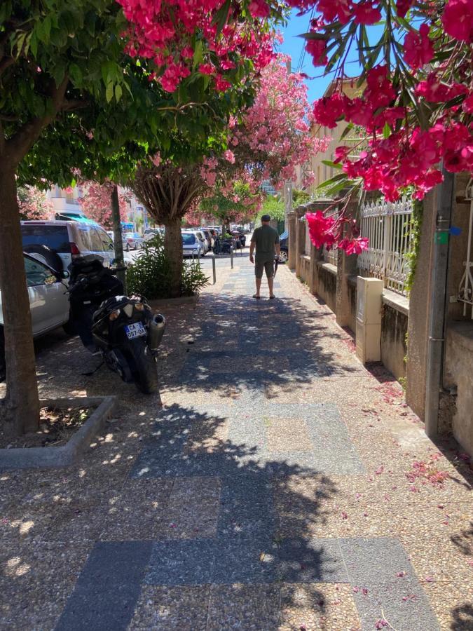 Ajaccio Magnifique T2 Neuf 40M2 Avec Balcon Au Trottel 4 Couchages Wifi Clim Parking Plage A Pieds 100M Eksteriør billede