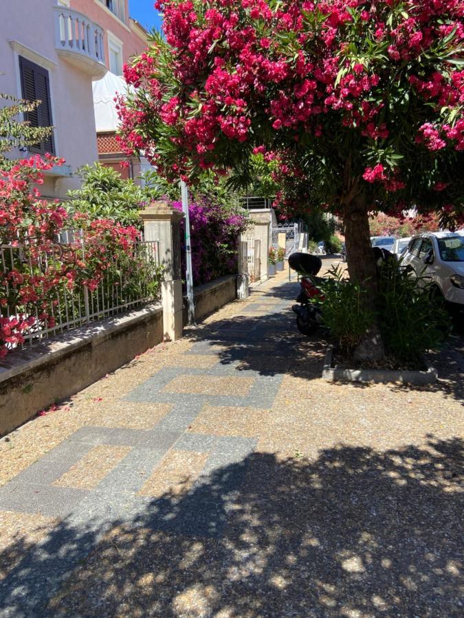 Ajaccio Magnifique T2 Neuf 40M2 Avec Balcon Au Trottel 4 Couchages Wifi Clim Parking Plage A Pieds 100M Eksteriør billede