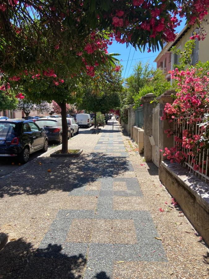 Ajaccio Magnifique T2 Neuf 40M2 Avec Balcon Au Trottel 4 Couchages Wifi Clim Parking Plage A Pieds 100M Eksteriør billede